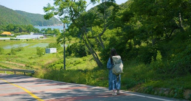 Woman Walking Along a Scenic Roadside on a Sunny Day