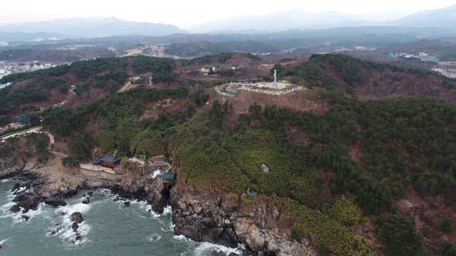 숲으로 둘러싸인 절벽 위의 해안 사찰 단지