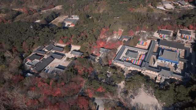 가을 단풍에 둘러싸인 전통 한국 사찰