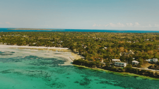 A scenic coastline with lush greenery