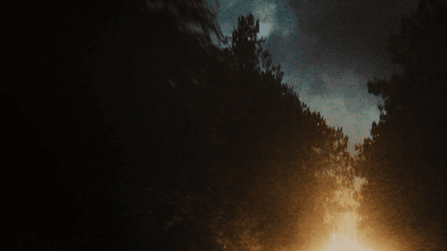 A dark forest road illuminated by headlights