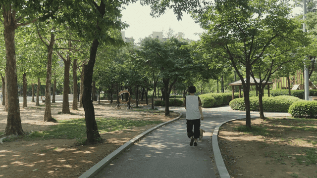 햇살이 비치는 공원에서 개를 산책하는 사람