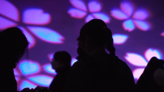 Silhouettes of visitors standing in front of a wall with a floral pattern projected onto it