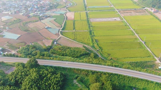 Expansive farmland with a nearby village