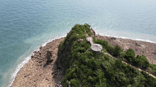 Rocky coastline covered with lush green vegetation