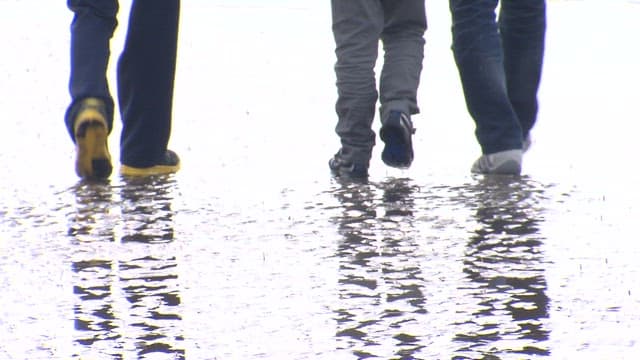 화창한 날 갯벌이 있는 해변을 함께 걷는 가족