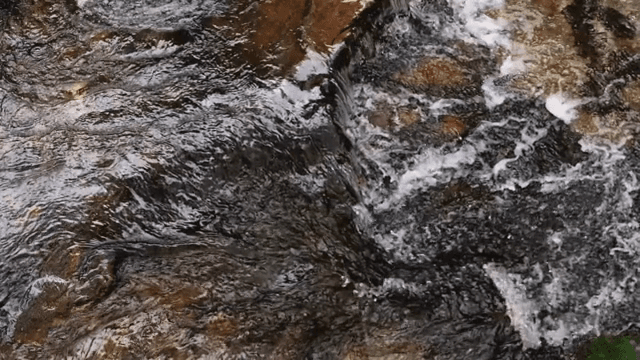 Flowing water over rocks in a stream