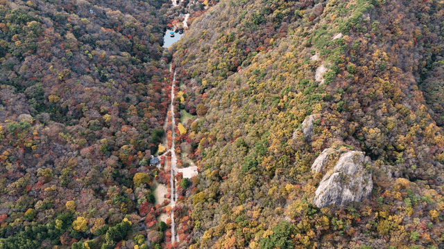 Aerial view of a forested mountain in autumn
