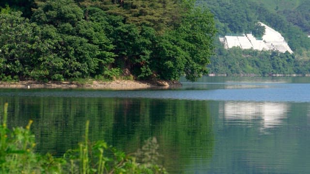 Calm lake surrounded by green dense forest