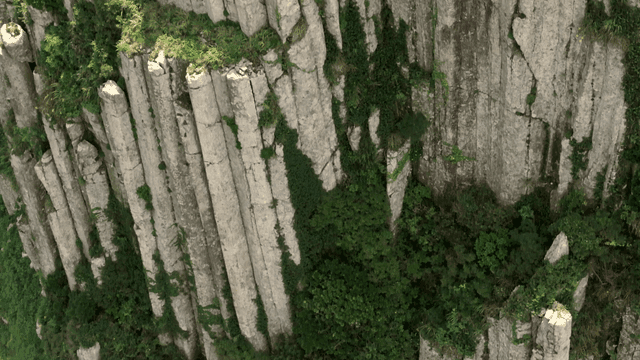 Lush green cliffs with dense foliage