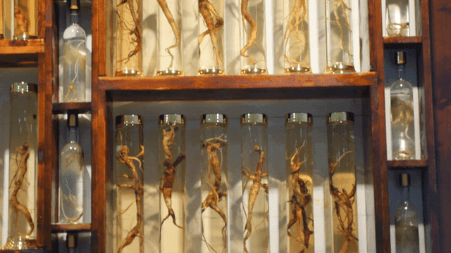 진열된 오래된 담금주들