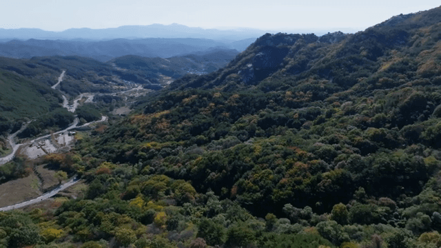 가을 단풍이 든 광활한 산 풍경