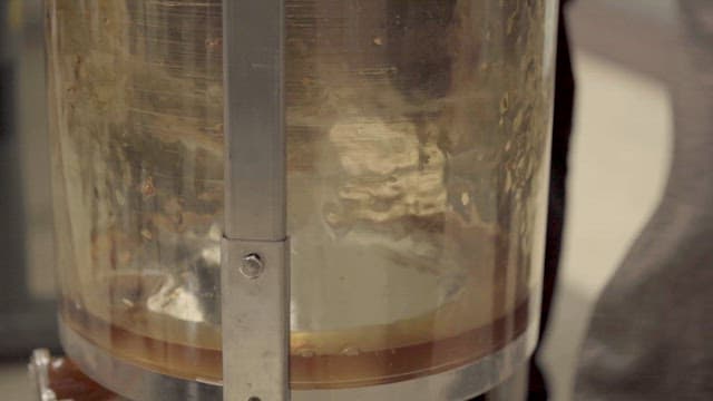 채밀기로가 작동하며 꿀을 짜는 모습