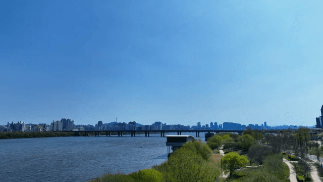 푸른 나무와 고요한 강이 어우러진 도시 풍경