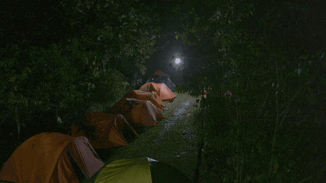 어두운 숲속에 가진런히 놓인 캠핑 텐트들