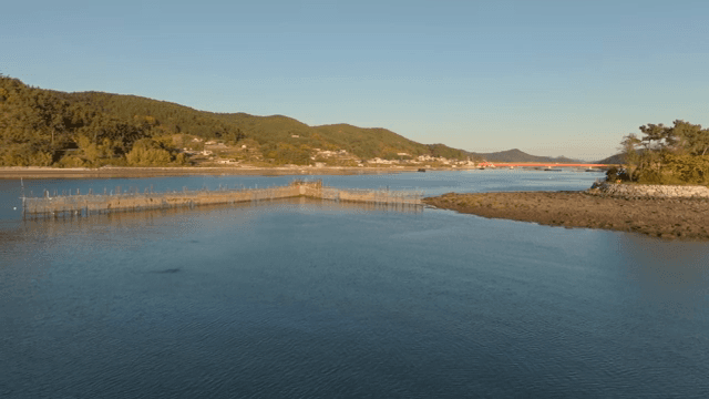 어망이 있는 고요한 해안 풍경