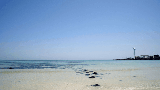 Serene beach with wind turbines