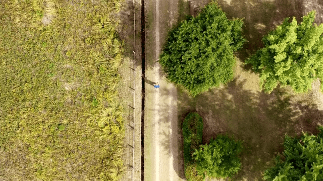 Person walking on a path in a park