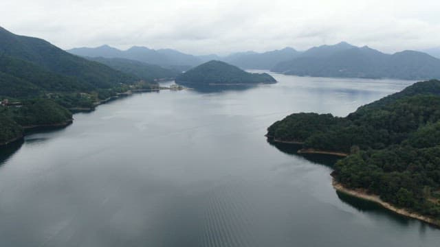 흐린 날 평화로운 강과 울창한 산림