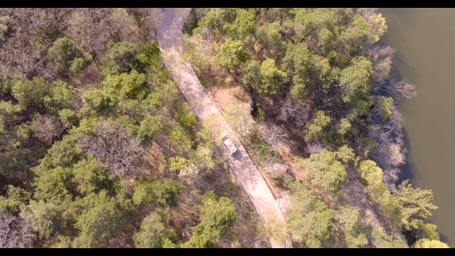 Winding road through a dense forest