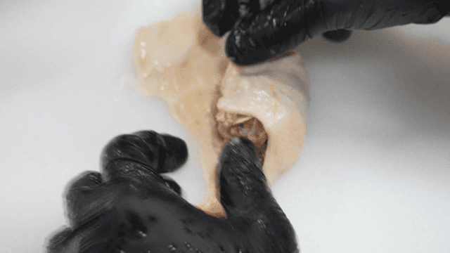 Hands putting filling into chicken skin dumplings