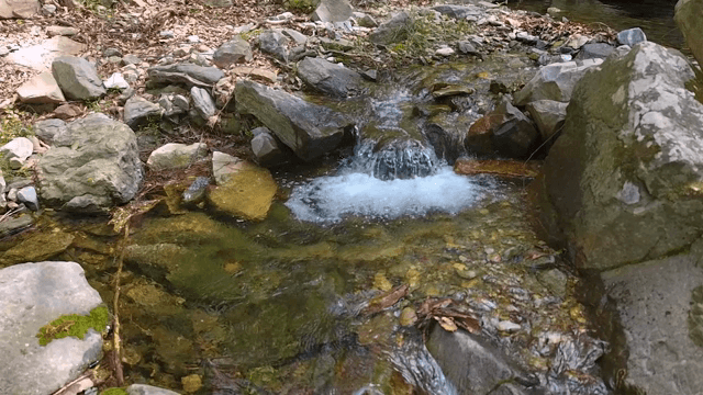 Small stream flowing over rocks