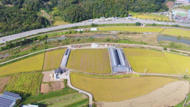 Expansive farmland with greenhouses