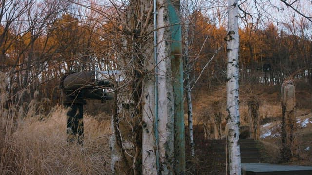 벌거벗은 초목이 있는 한적한 겨울 공원