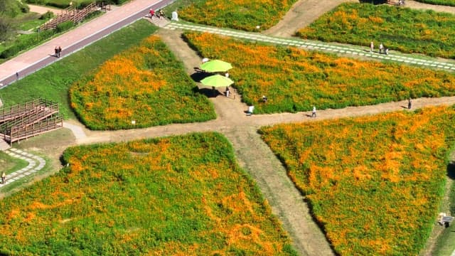 산책로가 있는 화려한 꽃밭