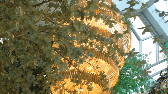 Indoor garden with decorative lighting