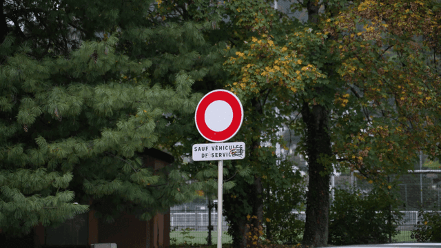 European road signs with lots of leaves
