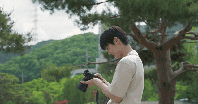 Young man taking photos in a green park