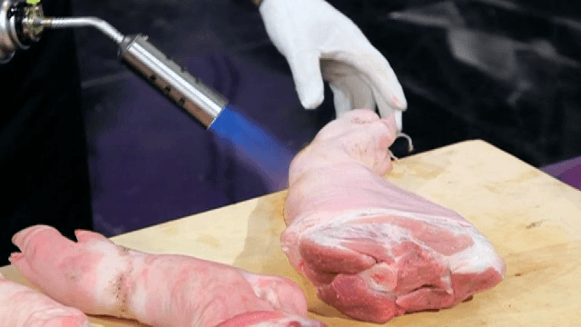 도마 위 돼지 다리를 토치로 굽는 장면