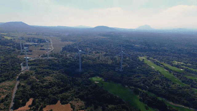 넓은 녹지에 있는 풍력 터빈