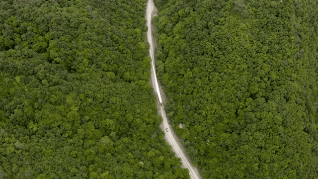 울창한 숲 속 도로에서 풍력 터빈 자재를 운반하는 모습
