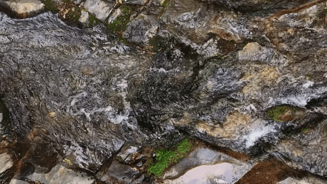 바위 위로 흐르는 고요한 시냇물