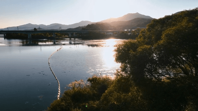 푸른 나무가 보이는 고요한 호수