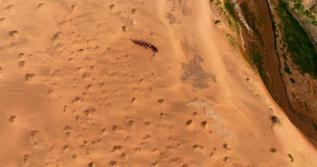 녹지 골짜기가 있는 사막