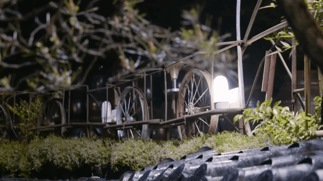 밤 조명 아래 나뭇가지와 잎