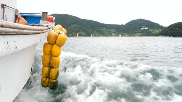 흐린 날 해안 근처 양식장에서 항해하는 어선