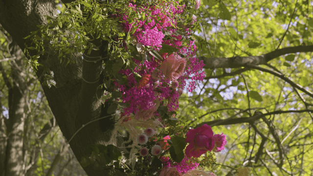 Colorful flowers blooming on trees