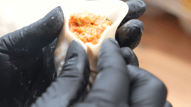 Hands folding kimchi dumplings