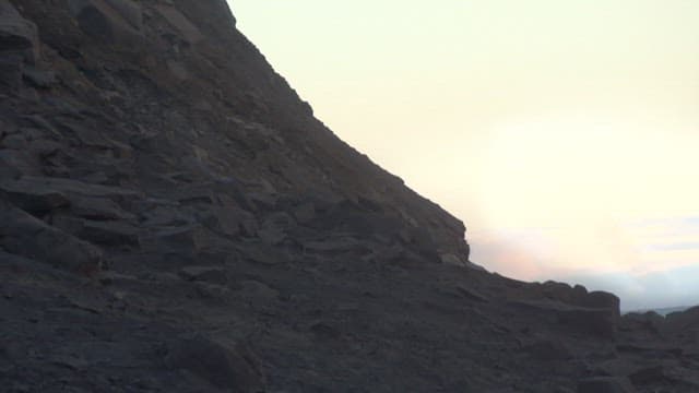 절벽에서 굴러 떨어지는 동물