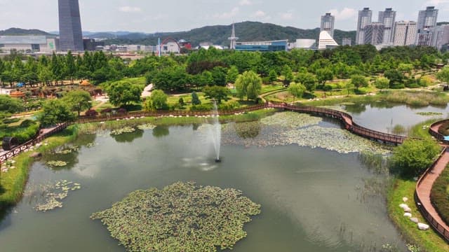 Aerial view of a green park with ponds