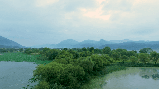 푸른 숲으로 둘러싸인 고요한 호수