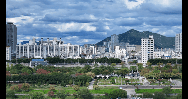 Urban landscape with skyscrapers and green park