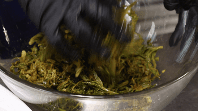 Hands mixing fresh vegetables in large bowl
