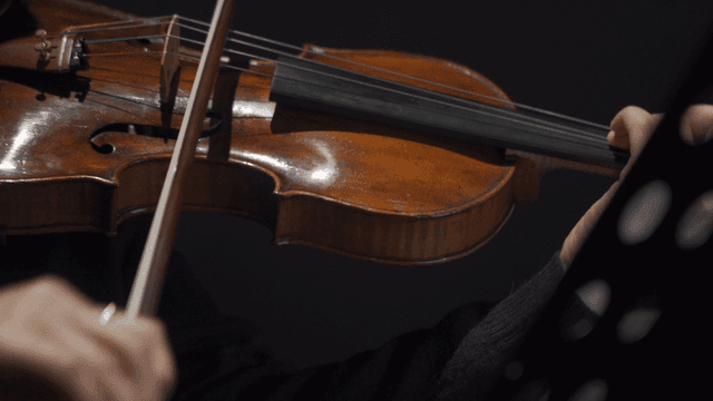 실내에서 열정적으로 연주하는 바이올리니스트