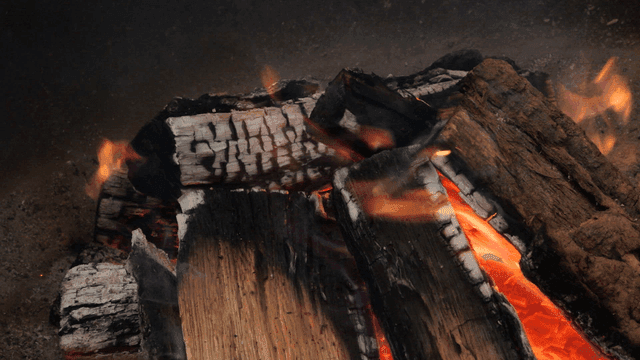 Burning logs with bright flames