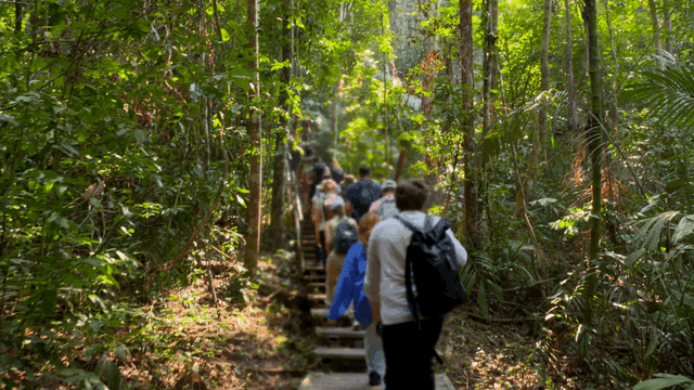 무성한 숲길을 걷는 사람들